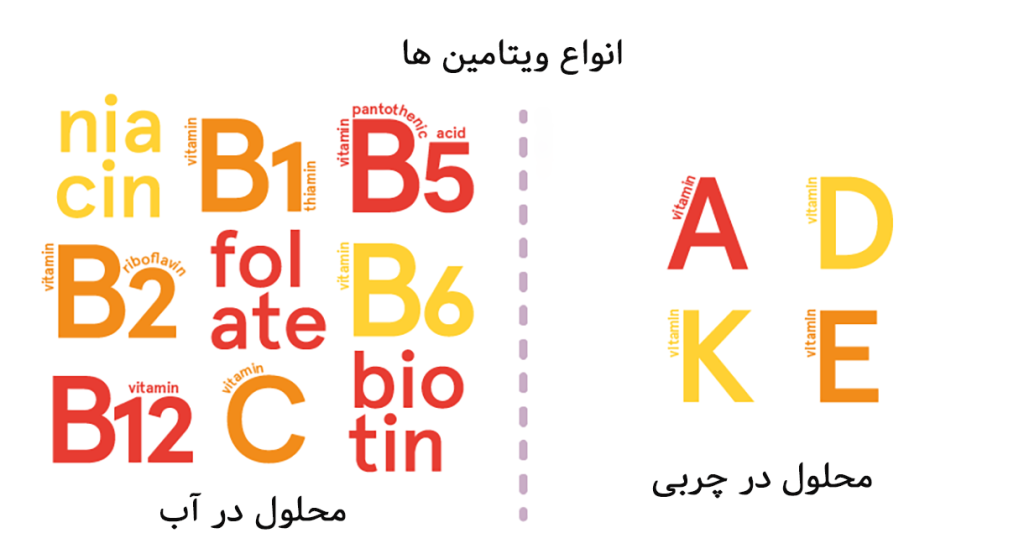 ویتامین های محلول در چربی